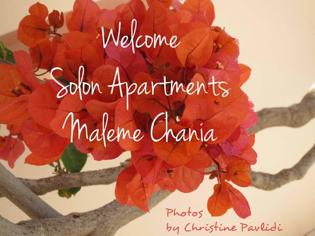 Solon Apartments Maleme Esterno foto